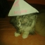 lmSyRoX